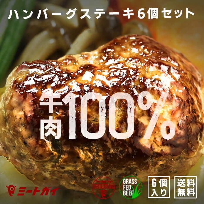 ハンバーグ グラスフェッドビーフ 牧草牛 100％ ハンバーグステーキ 6個 150g 2 3 牛肉のハンバーグ /バーベキューセット 肉 BBQ食材 アウトドア キャンプ-SET411