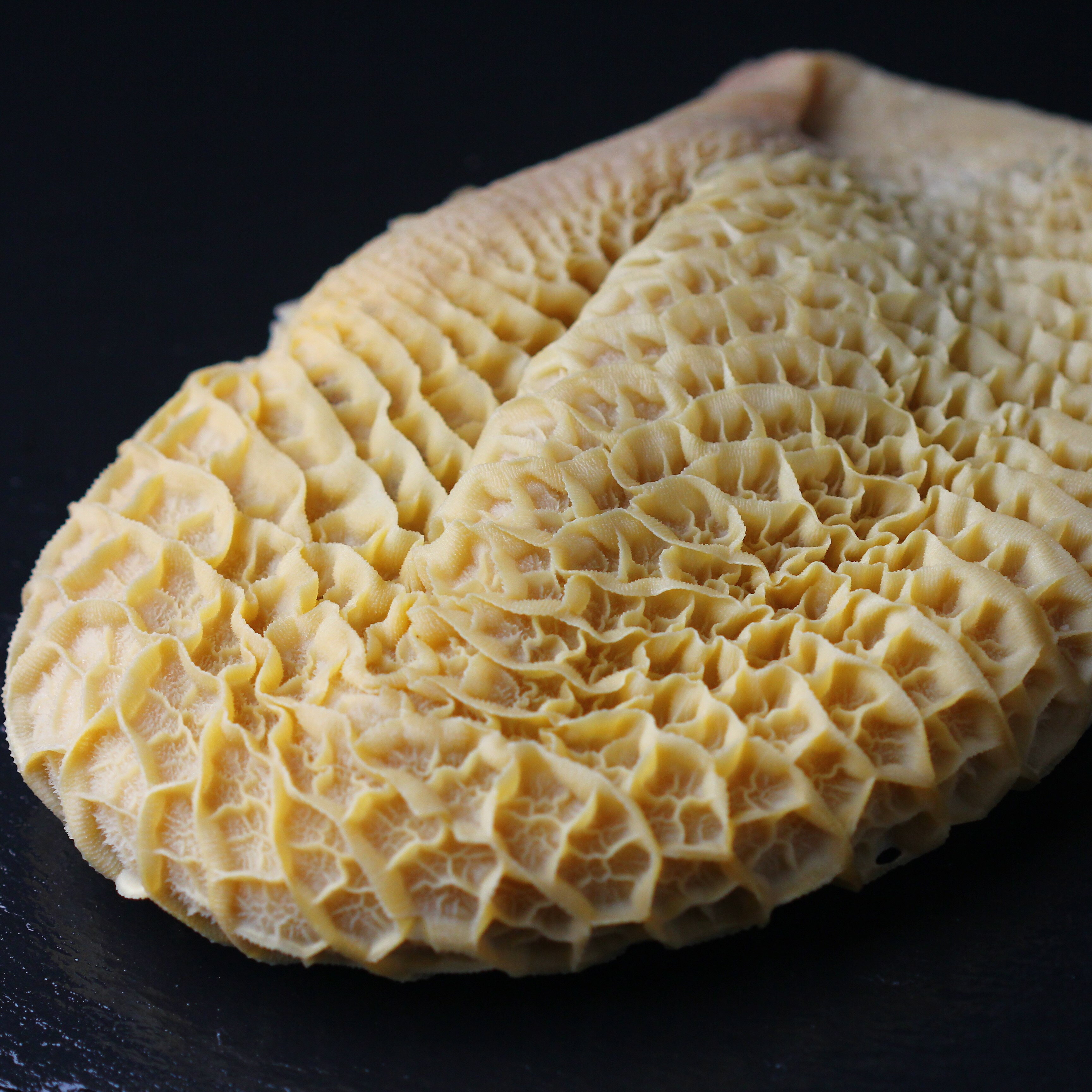 牛ハチノス（蜂巣胃）　ホルモン 700g以上 Beef Honeycomb tripes