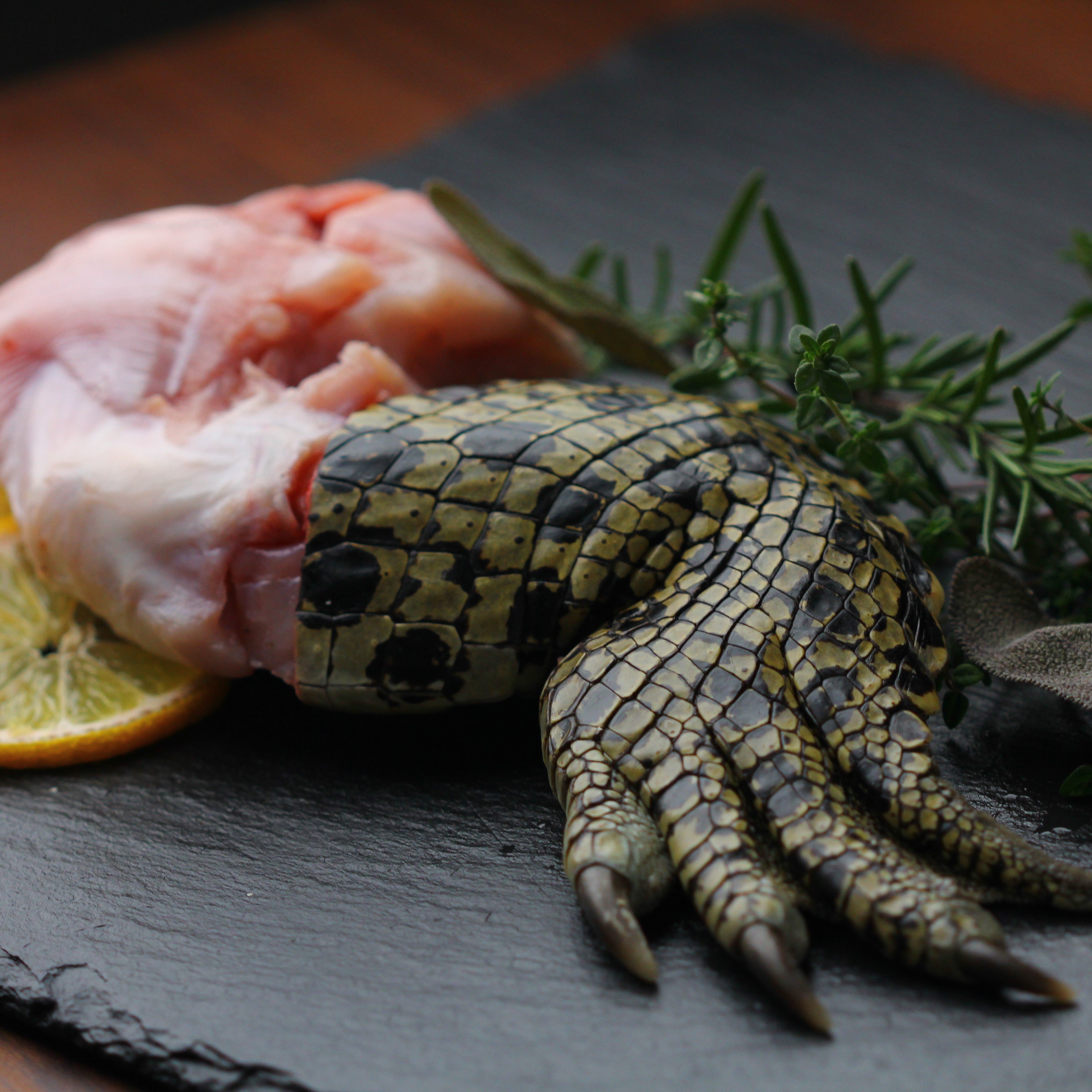 ワニ肉 （ワニ足） 骨付き足 Crocodile Legs Bone-in (300g-399g) SKU508