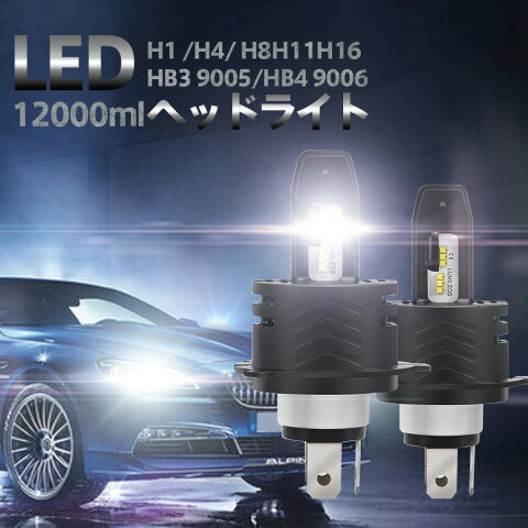 LEDヘッドライト H4 HB3 HB4 H1 H8/H11 H16 LED ミニオールインワン 30W×2 6000LM 6500K LEDバルブ IP65防水 DC12VDC18V 2個セット