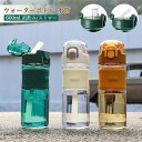 【激安販売中】水筒 ウォーターボトル 直飲み 大容量 600ml プラスチック ストロー付き アウトドア おしゃれ 軽い 持ち運び スポーツボトル クリア 漏れ防止 アウトドア ヨガ トレーニング 大容量 運動 スポーツ用 携帯便利 男女兼用 water bottle 部活(3)