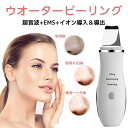 【激安販売中】超音波美顔器 ウォーターピーリング 美顔器 超音波振動 1台7役 ems微電流 マイナスイオン 超音波ピーリング 赤光&青光エステ イオン導入器 超音波 洗顔器 光エステ 汚れ角栓除去 黒ずみ取り イチゴ鼻対策 美肌 むくみ解消 女性 プレゼント(4)