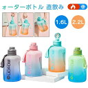 【激安販売中】ウォーターボトル 水筒 ストロー付き 直飲み 1600ml 2200ml 大容量 かわいい 洗いやすい スポーツボトル おしゃれ 通勤 運動 学校 ヨガ トレーニング 大容量 運動水筒 スポーツ用 携帯便利 男の子 女の子 登山 アウトドア 旅行 釣り キャンプ(3)
