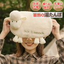 【新発売記念価格!】湯たんぽ 充電式 蓄熱式エコ湯たんぽ 蓄熱式湯たんぽ 電気湯たんぽ ゆたんぽ エコ 省エネ 節電 繰り返し使える 暖房 温かい 電気あんか ...