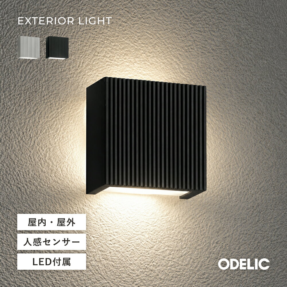 ode-br-0050770.jpg