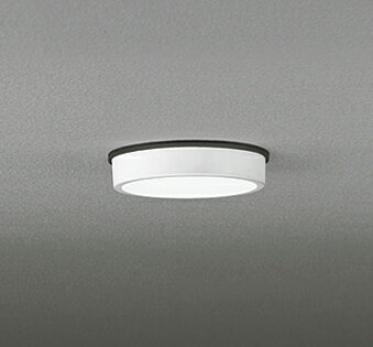 シーリングライト 洋風 ※工事必要 屋内屋外兼用 エクステリア アウトドア 壁 廊下 階段 トイレ 玄関 外灯 防雨型 軒下専用 白熱灯100W相当 昼白色(5000K)