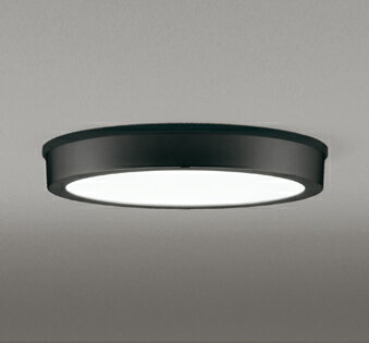 シーリングライト 洋風 ※工事必要 屋内屋外兼用 エクステリア アウトドア 壁 廊下 階段 トイレ 玄関 外灯 防雨型 軒下専用 FCL30W相当 昼白色(5000K)