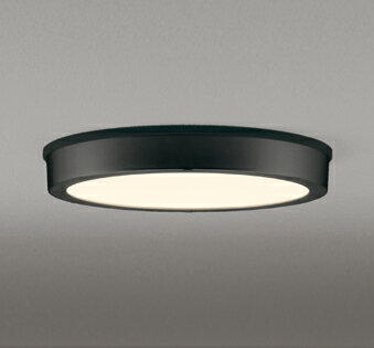 シーリングライト 洋風 ※工事必要 屋内屋外兼用 エクステリア アウトドア 壁 廊下 階段 トイレ 玄関 外灯 防雨型 軒下専用 FCL30W相当 電球色(2700K)