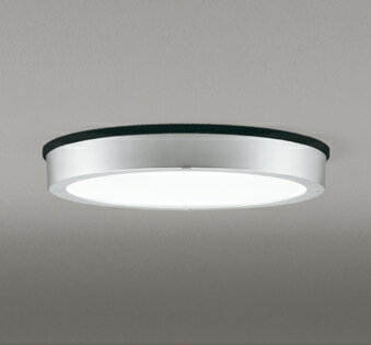 シーリングライト 洋風 ※工事必要 屋内屋外兼用 エクステリア アウトドア 壁 廊下 階段 トイレ 玄関 外灯 防雨型 軒下専用 FCL30W相当 昼白色(5000K)