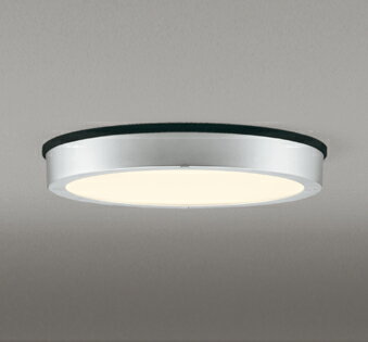 シーリングライト 洋風 ※工事必要 屋内屋外兼用 エクステリア アウトドア 壁 廊下 階段 トイレ 玄関 外灯 防雨型 軒下専用 FCL30W相当 電球色(2700K)