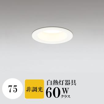 饤 75 Ĵʤ Ǯ60W 2700K 󥵡ʤ OD361055R ǥå