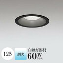 ダウンライト 開口125φ 昼白色(5000K) 白熱灯60W相当 ブラック 調光可 ※別売調光器対応 ※工事必要 SB型(高気密 断熱材対応型) 配光38° 拡散 アルミダイカスト