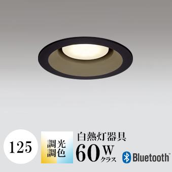 饤 125 Ĵ Ǯ60W 2700K-5000KĴ 󥵡ʤ OD361236BCR ǥå
