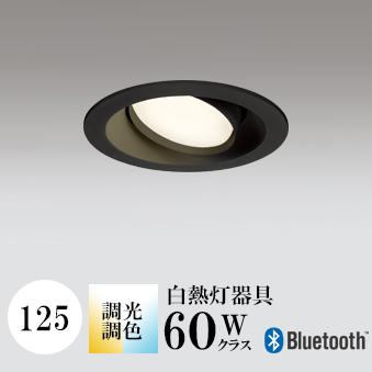 饤 125 Ĵ Ǯ60W 2700K-5000KĴ 󥵡ʤ OD361246BCR ǥå