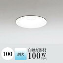 ダウンライト 開口100φ 昼白色(5000K) 白熱灯100W相当 ホワイト 調光可 ※別売調光器対応 ※工事必要 SB型(高気密 断熱材対応型) 配光100° 拡散 鋼 超浅型