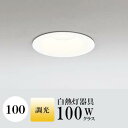 ダウンライト 開口100φ 電球色(2700K) 白熱灯100W相当 ホワイト 調光可 ※別売調光器対応 ※工事必要 SB型(高気密 断熱材対応型) 配光100° 拡散 鋼 超浅型