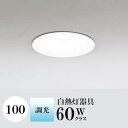 ダウンライト 開口100φ 昼白色(5000K) 白熱灯60W相当 ホワイト 調光可 ※別売調光器対応 ※工事必要 SB型(高気密 断熱材対応型) 配光100° 拡散 鋼 超浅型
