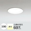 ダウンライト 開口100φ 温白色(3500K) 白熱灯60W相当 ホワイト 調光可 ※別売調光器対応 ※工事必要 SB型(高気密 断熱材対応型) 配光100° 拡散 鋼 超浅型