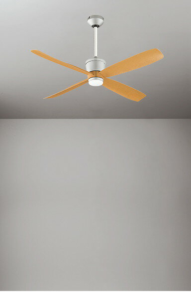 ������󥰥ե��� ���� �ե������� DC�⡼���� �Ť� �ʥ��� �ʰ׷����� ����γ��٤ޤǷ����б� 30cm��Ĺ�ѥ��ץ��å� ��⥳����°