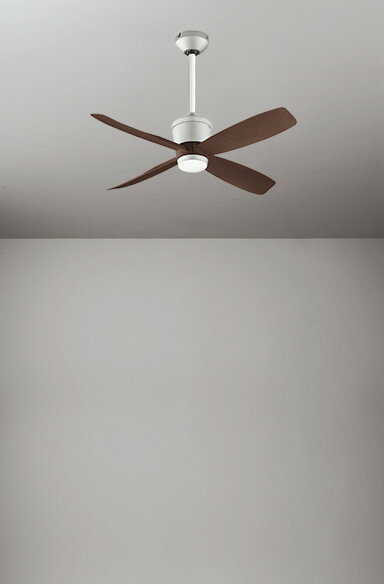 ������󥰥ե��� ���� �ե������� DC�⡼���� �Ť� �ʥ��� �ʰ׷����� ����γ��٤ޤǷ����б� 30cm��Ĺ�ѥ��ץ��å� ��⥳����°