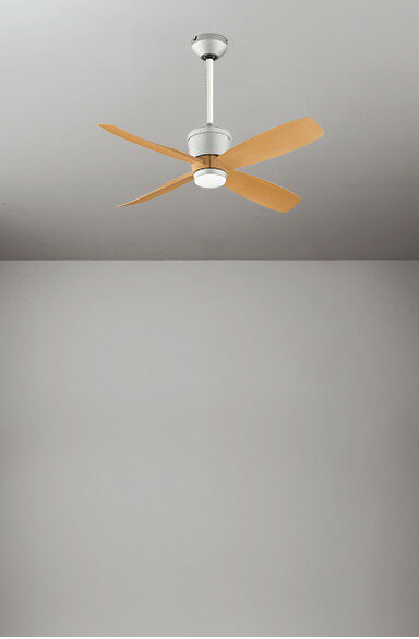 ������󥰥ե��� ���� �ե������� DC�⡼���� �Ť� �ʥ��� �ʰ׷����� ����γ��٤ޤǷ����б� 30cm��Ĺ�ѥ��ץ��å� ��⥳����°