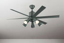 シーリングファン DCモーター 静か 省エネ 簡易結線型 指定の角度まで傾斜対応 電球色・昼白色切替 電球交換可 別売延長パイプ対応 調光可 リモコン付属