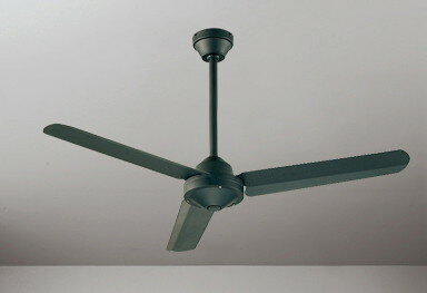 ������󥰥ե��� ��������ե��� �ե������� AC�⡼���� �ʰ׷����� ����γ��٤ޤǷ����б� 30cm��Ĺ�ѥ��ץ��å� ��⥳����°