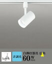 スポットライト ブラケットライト 壁面取付可 屋内用 工事orダクト 広角 白熱灯60W相当 昼白色(5000K)