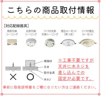 �ڥ����ե�ǡ��ݥ����3�ܡۥ����ǥꥢ �����̤����� ��4.5���� ����(5000K)