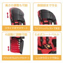 リアチャイルドシート 自転車後用同乗器（子供乗せ） RBC-011DX3 ブラック/オーシャンブルー OGK giken（オージーケー技研） 3