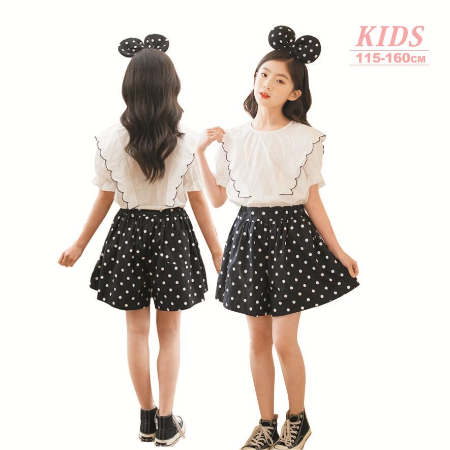 ̵ۻҶ Ⱦµ ȥåץ ɥå ۥ磻ȥ֥饦 硼ȥѥ 2å 岼å ̱  ץ쥼 Ҷ λ ̳  Ⱦ...