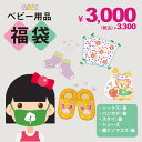 【2022福袋】【予約商品】送料無料 数量限定 2022年 キッズ 男の子 女の子 ネタバレ ハンカチ2枚 スタイ2枚 ソックス5足セット シューズ Sサイズ 銀ナノマスク1枚 お得な5点セット P666-3000-BABY SGW