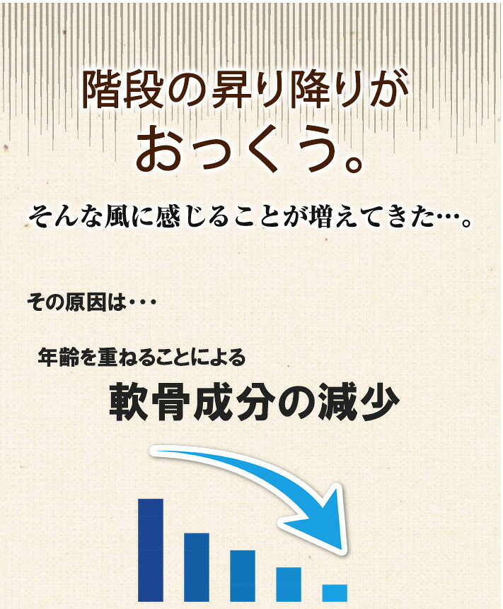5個セット【送料無料】母の日 プレゼント あおもりPG プロテオグリカン 配合 サプ...