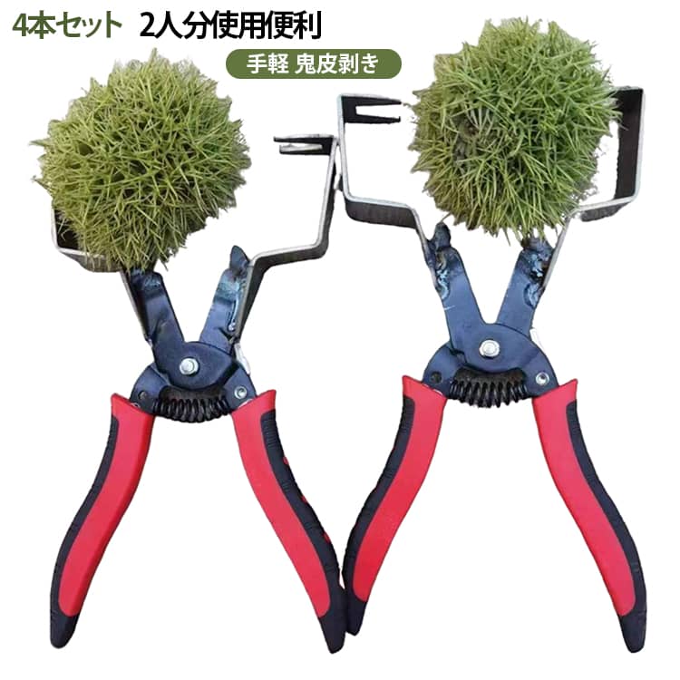 天然栗のトゲ玉の除去、栗本体の殻開け両方に使える専用ハサミです。本体の主素材は炭素鋼を採用し、刃部の硬度が高く耐久性に優れ、頻繁に使用しても刃先が劣化しにくい仕様となっています。グリップ部分は手にフィットする滑り止め設計が施され、長時間作業しても手が疲れにくいです。内蔵バネにより開閉がスムーズで、少ない力でトゲのついた外皮や硬い鬼皮をカットでき、力の弱い方でも楽に扱えます。収穫直後のトゲ玉の処理から調理前の殻むき作業まで幅広く活用できます。栗ごはん、栗きんとんなどの和菓子・料理を作る際の下ごしらえ作業の手間を大きく削減可能です。実用的な 4本セット仕様も選択でき、自宅用のほかプレゼント用途にも適しています。 サイズ フリー サイズについての説明 フリー 素材 炭素鋼 色 写真通り 備考 ●サイズ詳細等の測り方はスタッフ間で統一、徹底はしておりますが、実寸は商品によって若干の誤差(1cm～3cm )がある場合がございますので、予めご了承ください。 ●製造ロットにより、細部形状の違いや、同色でも色味に多少の誤差が生じます。 ●パッケージは改良のため予告なく仕様を変更する場合があります。 ▼商品の色は、撮影時の光や、お客様のモニターの色具合などにより、実際の商品と異なる場合がございます。あらかじめ、ご了承ください。 ▼生地の特性上、やや匂いが強く感じられるものもございます。数日のご使用や陰干しなどで気になる匂いはほとんど感じられなくなります。 ▼同じ商品でも生産時期により形やサイズ、カラーに多少の誤差が生じる場合もございます。 ▼他店舗でも在庫を共有して販売をしている為、受注後欠品となる場合もございます。予め、ご了承お願い申し上げます。 ▼出荷前に全て検品を行っておりますが、万が一商品に不具合があった場合は、お問い合わせフォームまたはメールよりご連絡頂けます様お願い申し上げます。速やかに対応致しますのでご安心ください。