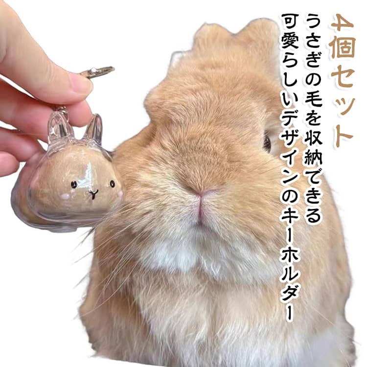 4個セット 4タイプ ウサギの毛収納ボトル ペット 遺毛 ケース 透明 ウサギ うさぎ ...