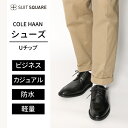 COLE HAAN コールハーン ビジネスシューズ メンズ Uチップ 革靴 ブラック 通勤 カジュアル 黒 ザ・スーツカンパニー スーツスクエア