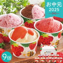 お中元 2025 博多あまおうのこだわりアイス 9個 アイスクリーム シャーベット 各種アイスクリーム シャーベットセット 夏 夏ギフト 中元 ギフト 贈り物 暑中見舞い
