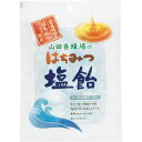 山田養蜂場 はちみつ塩飴 40681 あめ 飴 キャンディ お菓子 スイーツ 菓子折り ギフト プレゼント お祝い 贈り物 内祝い お返し お礼 挨拶 手土産 お持たせ 夏 夏ギフト 夏スイーツ お中元