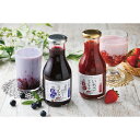 ICHIBIKO いちごミルクのもとギフトセット 1050237 いちごみるく ブルーベリーミルク 濃縮タイプ 果実飲料 ブレイクタイム ギフト プレゼント お祝い 贈り物 内祝い お返し お礼 挨拶 手土産 お持たせ 秋 秋ギフト 秋スイーツ 敬老の日