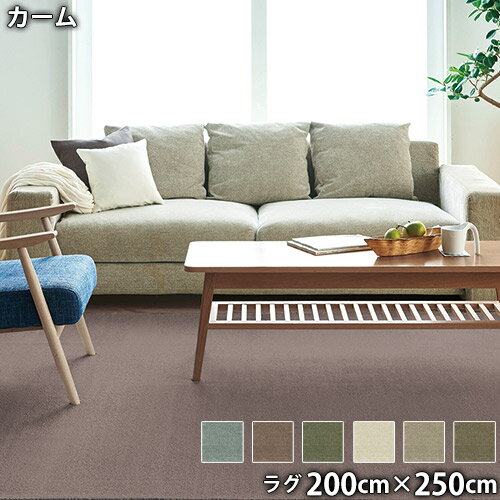 Rakuten - カーム(200cm×250cm)防ダニ 防音 防炎 滑り止め ホットカーペットOK 低ホルムアルデヒド