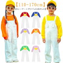 可愛い 蝶の羽 トレーナー 2点セット 演出服 女の子 オーバーオール キッズ サロペット 子ども
