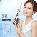 風呂 洗浄 歯 歯間 歯石取り 3役4本ノズル 9段水圧 コードレス 水流歯ブラシ 電動歯ブラシ ジェットウォッシャー