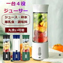 USB充電式 やすい 洗い 野菜&果物&離乳食用 小型 フードプロセッサー スムージー ブレンダー 氷も砕ける