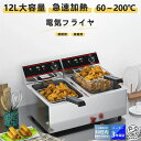 110V 揚げ物機 串揚げ 小型 卓上フライヤー 12L 6L 大容量 二槽式 家庭用 業務用 外せる 内釜 洗える 天ぷら
