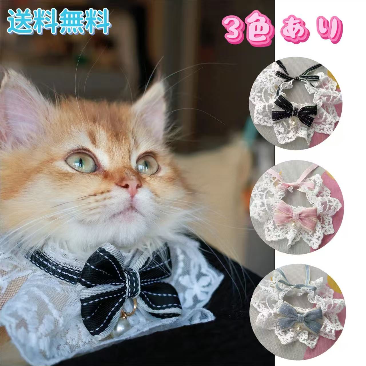 �ڥå��� ���硼���� ���� �Х���� �졼�� ��²�� ���餫 Ĵ���ǽ �ѥ��ƥ� ��ܥ� �ѡ��� ���㡼�� �ͤ� �Ҹ� ͥ�� �İ��� ������ ����̵��