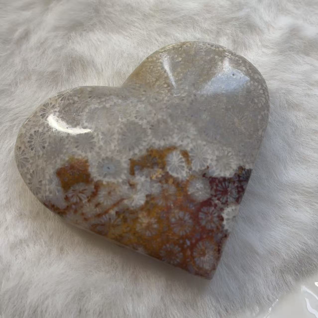 Rakuten - 天然石 高品質 バイカラー フォッシルコーラル ハート 握り石 置物 NO497