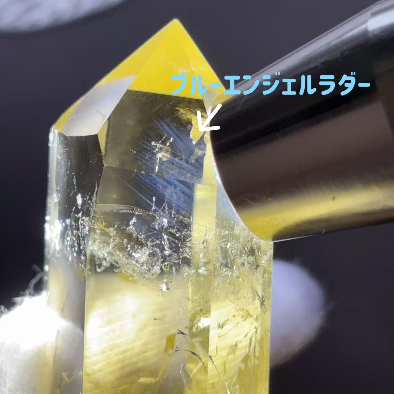 楽天市場】ブルーエンジェルラダーの通販