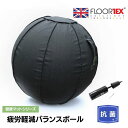 FLOORTEX フロアテックス 【疲労軽減シリーズ】AFS-TEX 抗菌 ヨガ バランスボール 【65cm】ヨーロッパ おしゃれ 健康グッズ FCBB2424SBK ザウィンド 海外 ブランド 可愛い スタイリッシュ シンプル かわいい(4)