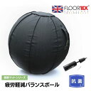 FLOORTEX フロアテックス 【疲労軽減シリーズ】AFS-TEX 抗菌 ヨガ バランスボール 【65cm】ヨーロッパ おしゃれ 健康グッズ FCBB2424SBK ザウィンド 海外 ブランド 可愛い スタイリッシュ シンプル かわいい