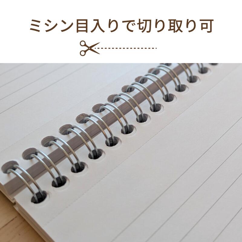 Pukka Pad プッカパッド 【METTALIC】レポート パッド 140×205mm 罫線｜英国 メーカー・おしゃれ 海外文具 メモ帳 罫線 レポート用紙 ノート 3